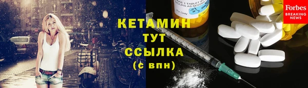 прущие грибы Армянск