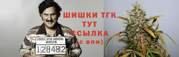 спиды Аркадак