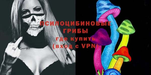 прущие грибы Армянск