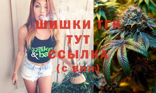 прущие грибы Армянск