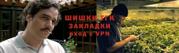 прущие грибы Армянск
