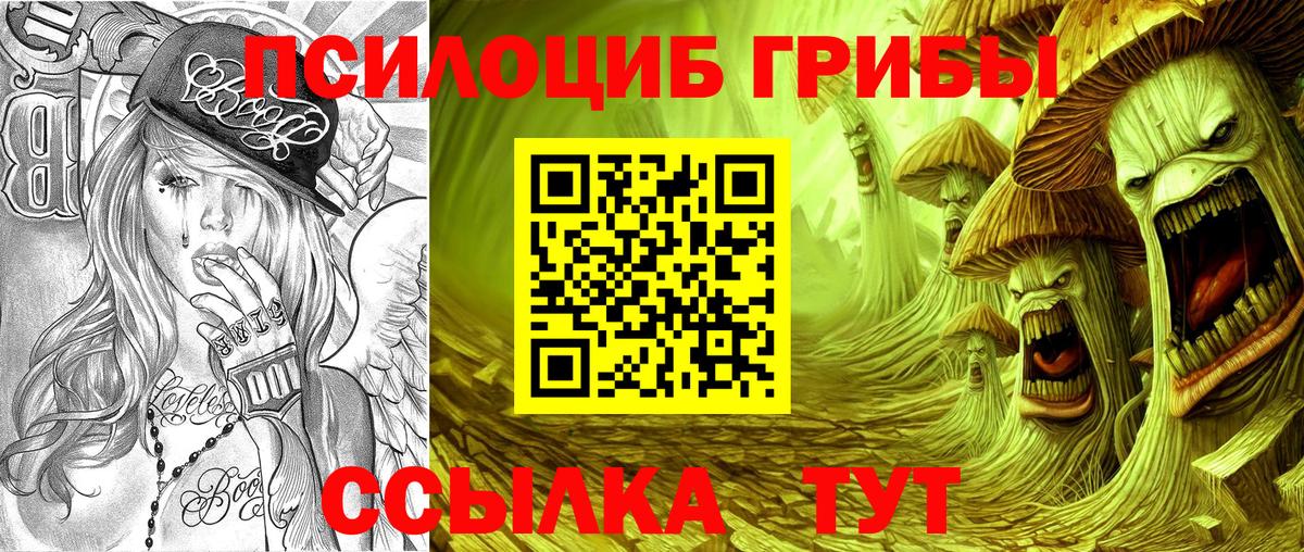 Псилоцибиновые грибы мицелий Асбест